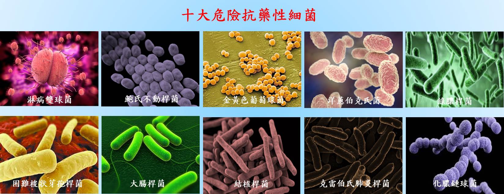 而超级细菌即为对多种抗生素具有耐药性与抗药性的细